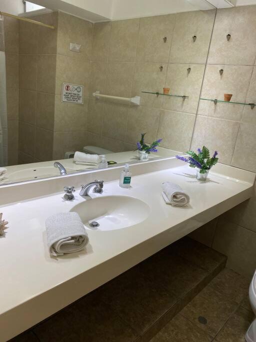 Photo of Bathroom in Reducto