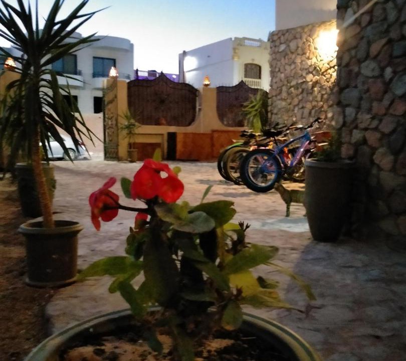 Photo of Others in Dahab