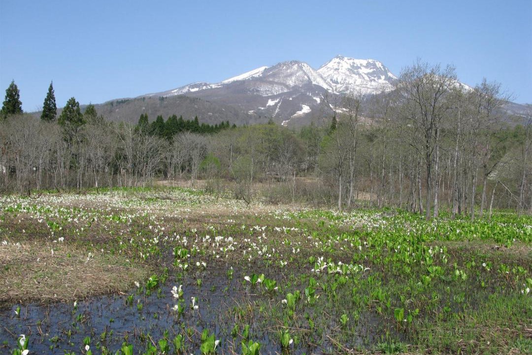 Photo of Others in Myoko