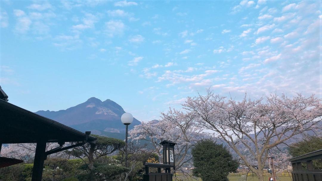 Photo of Others in Yufuin Onsen