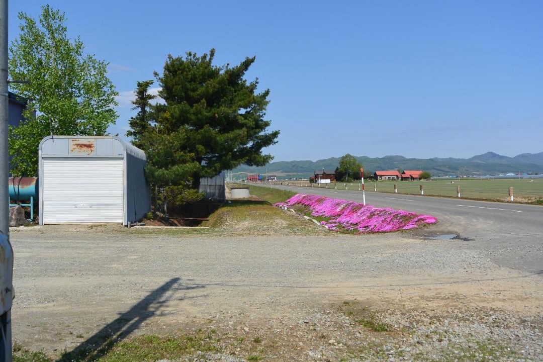 Photo of Others in Furano