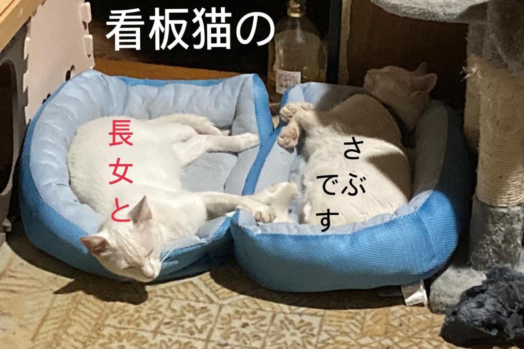 Photo of Others in Yokkaichi