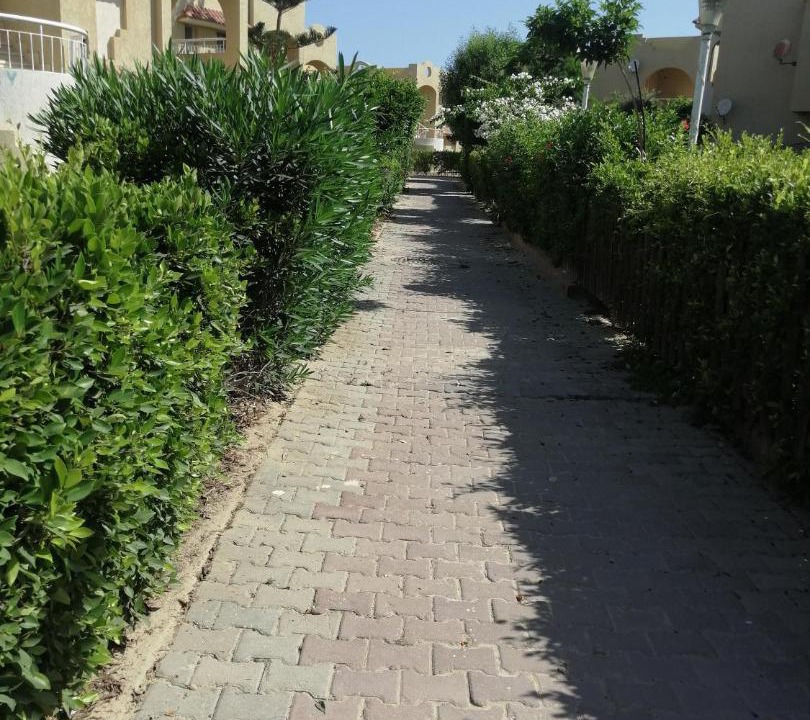Photo of Others in Dawwar Saqr
