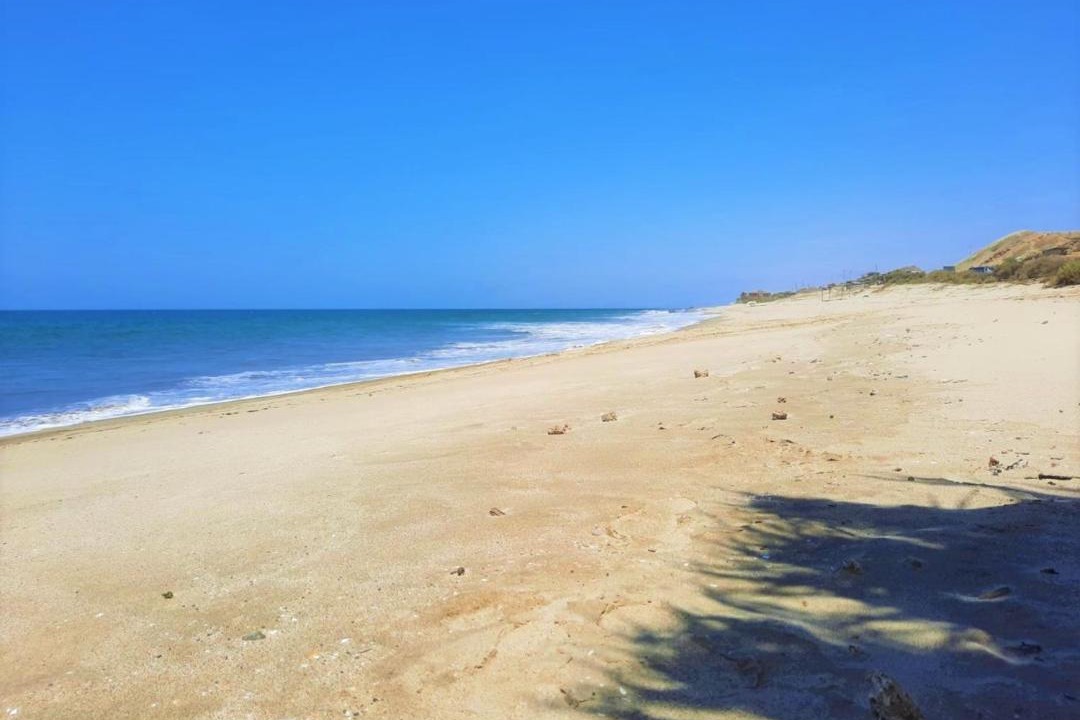 Photo of Others in Punta Sal