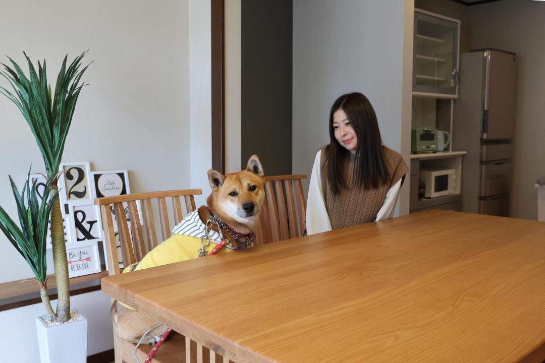 Photo of Others in Awaji