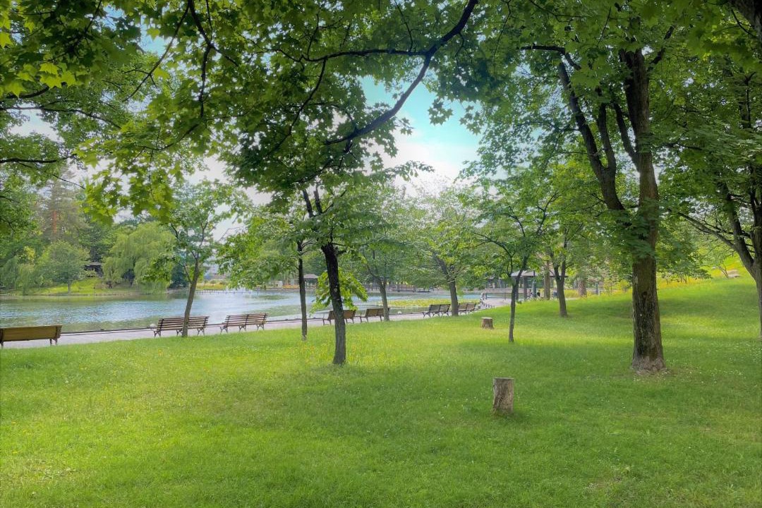 Photo of Others in Asahikawa