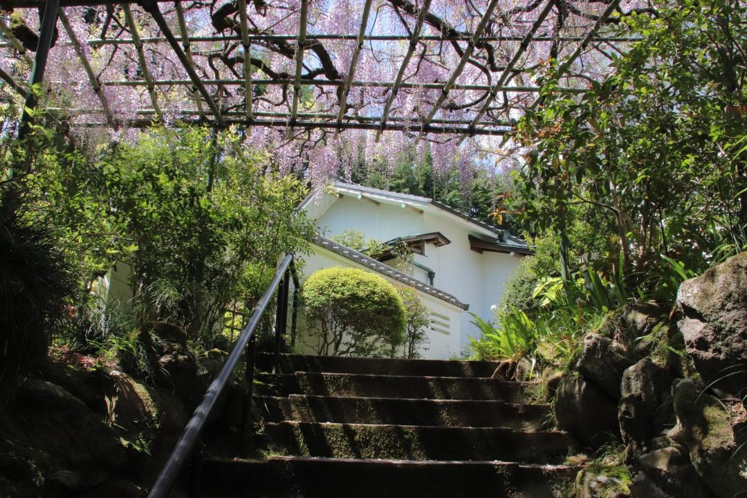 Photo of Others in Hakone