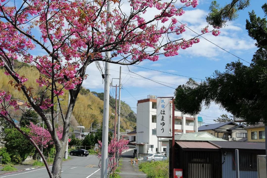 Photo of Others in Katase Onsen
