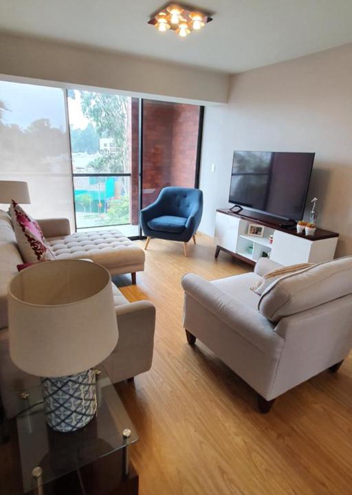 Photo of Livingroom in San Isidro