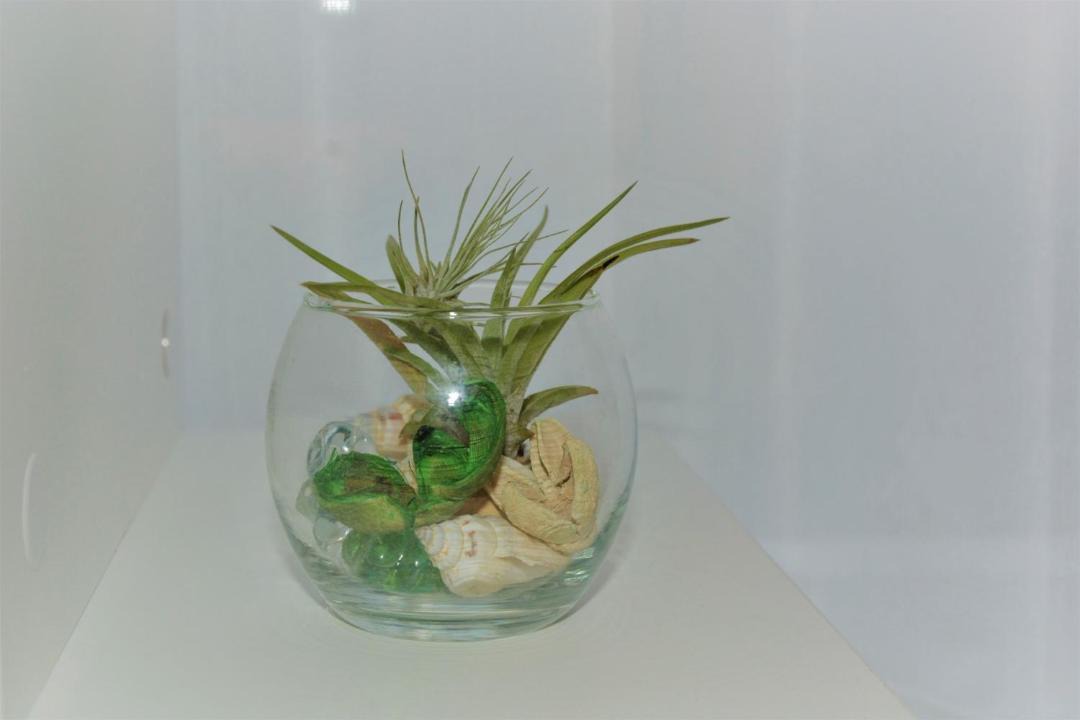 Photo of Bathroom in Shimokitazawa
