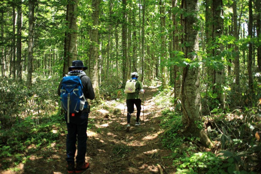 Photo of Others in Nakatonbetsu