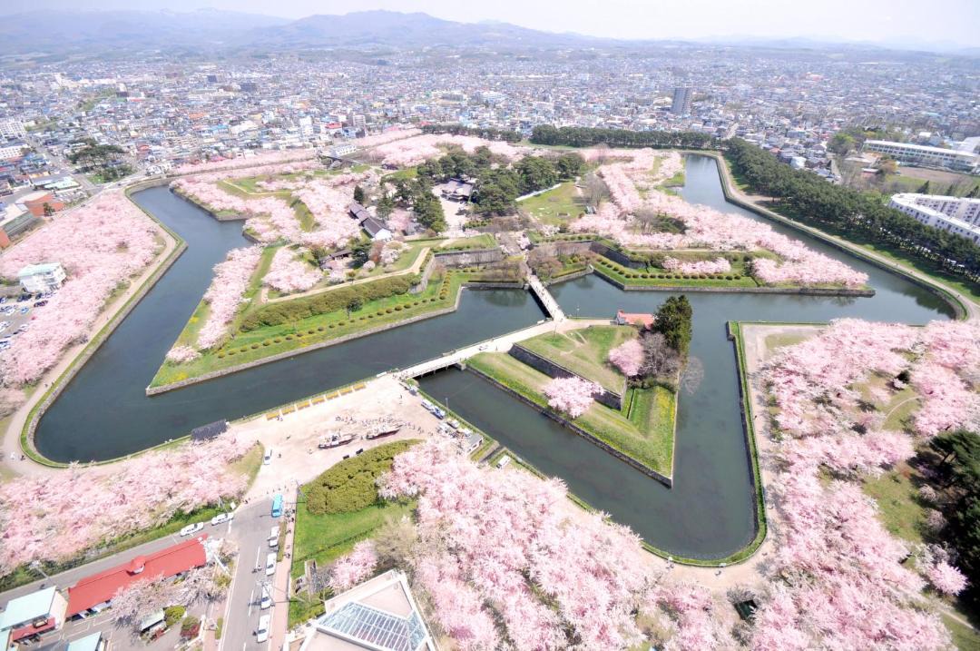 Photo of Others in Hakodate
