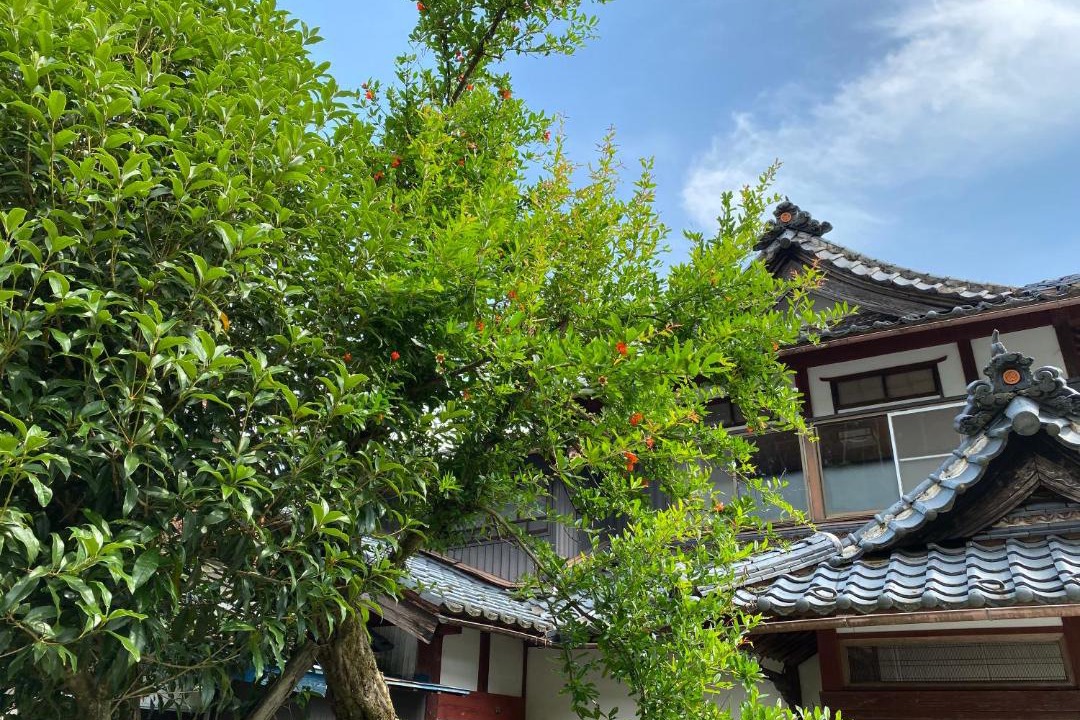 Photo of Others in Ikeda-cho