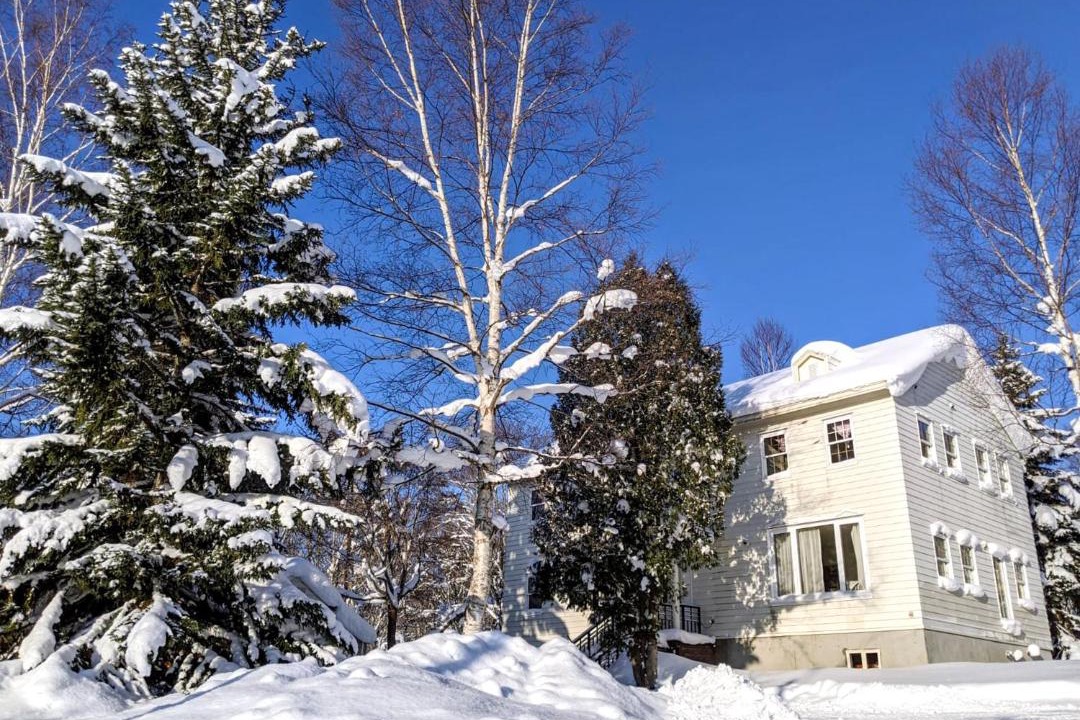 Photo of Others in Niseko