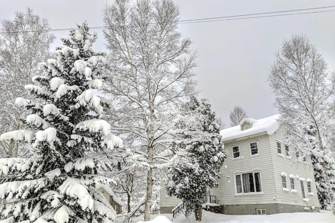 Photo of Others in Niseko