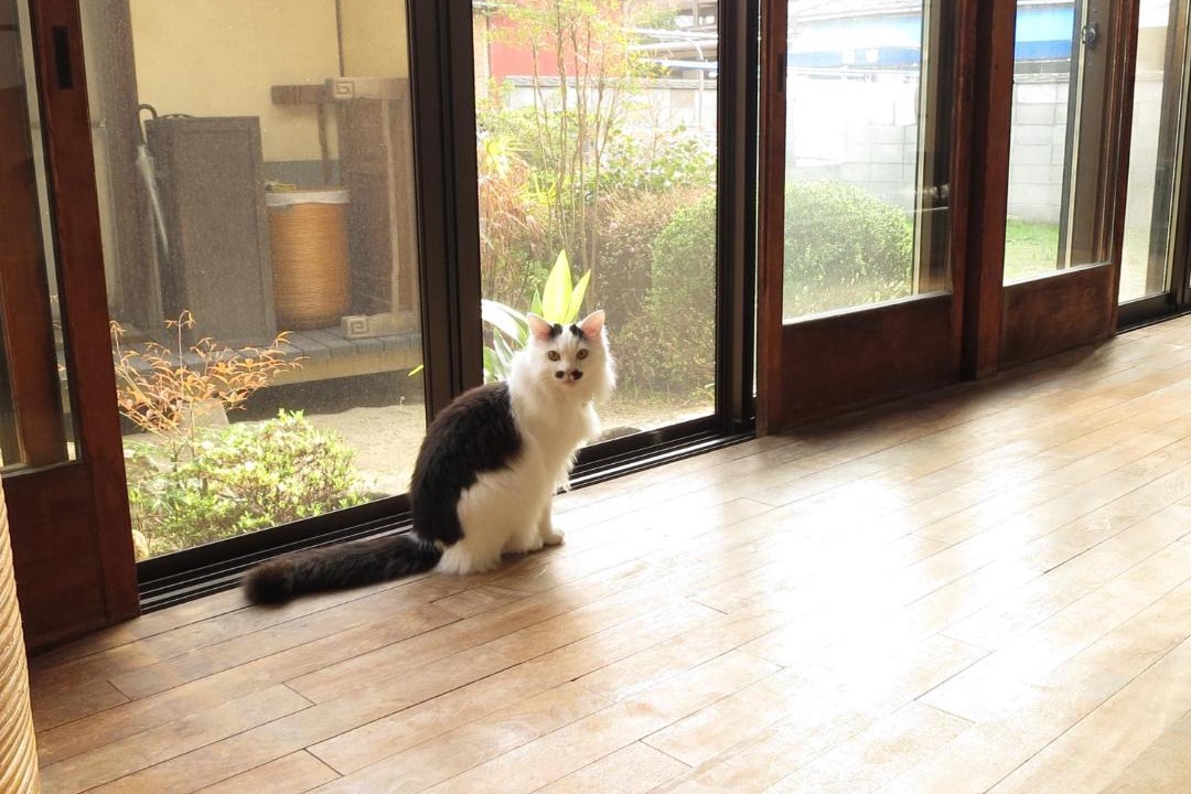 Photo of Others in Tsumuura