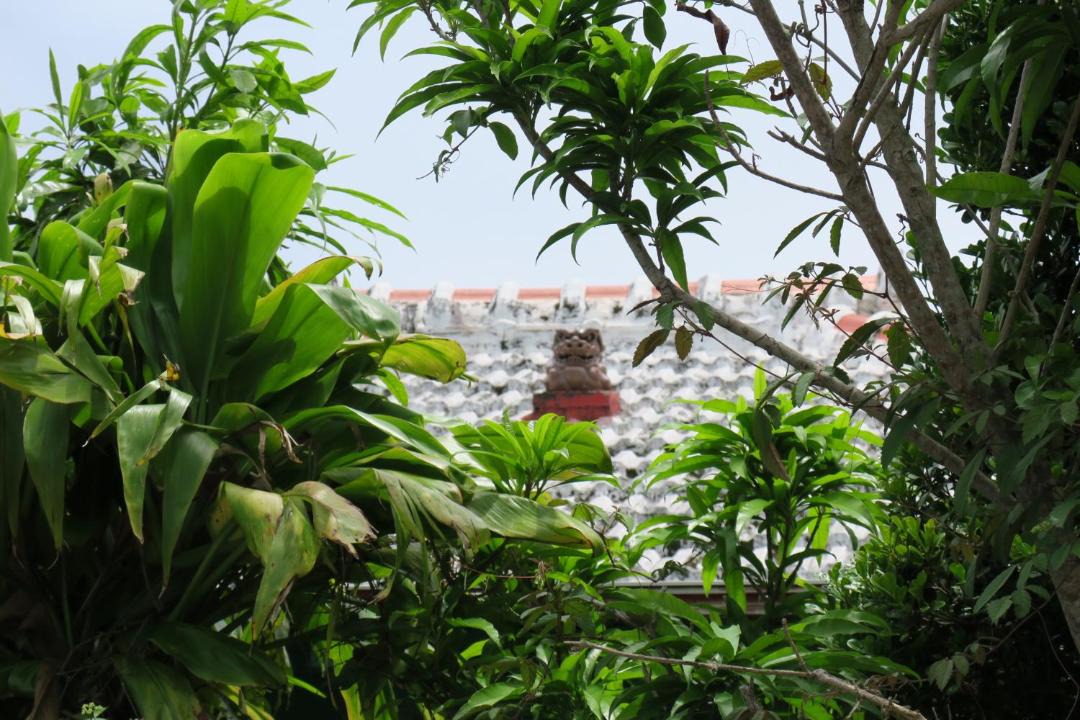 Photo of Others in Motobu