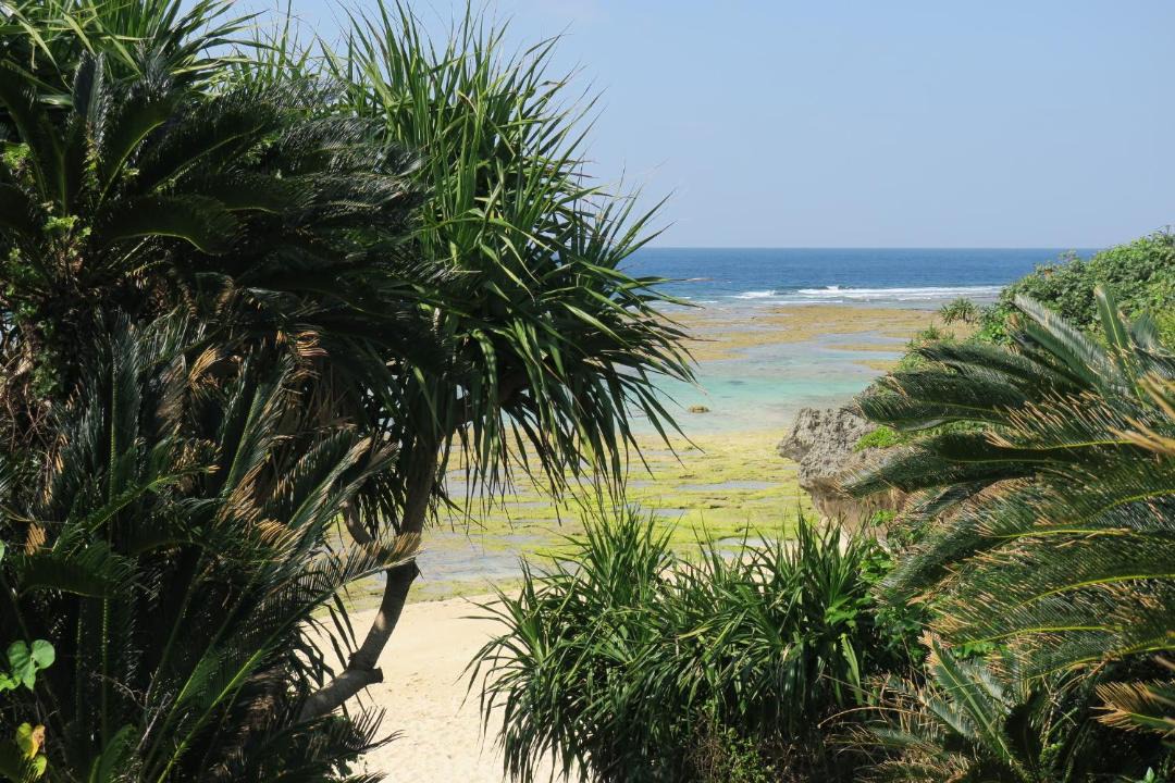 Photo of Others in Motobu
