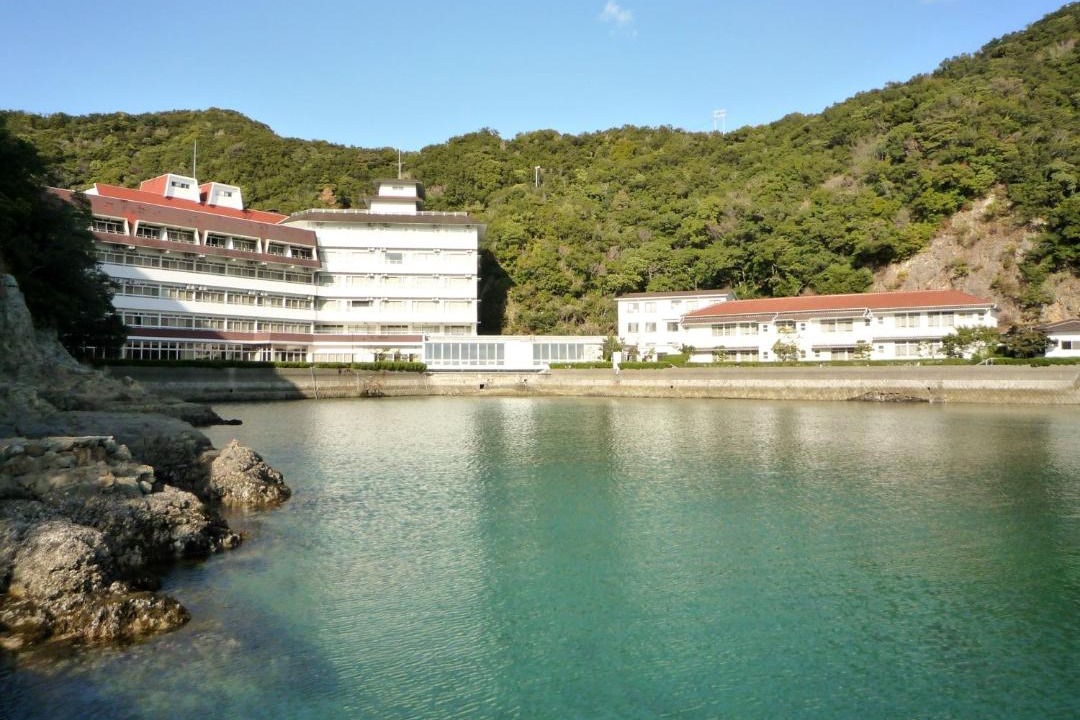 Photo of Others in Nachikatsura-cho