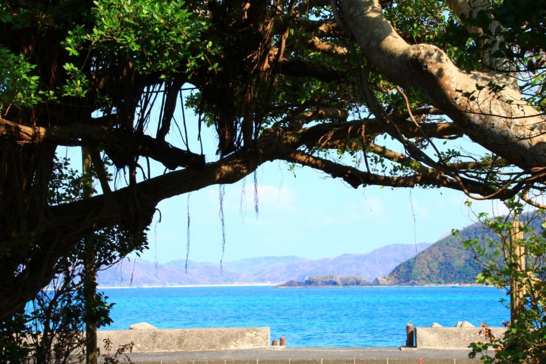 Photo of Outdoor in Tatsugo