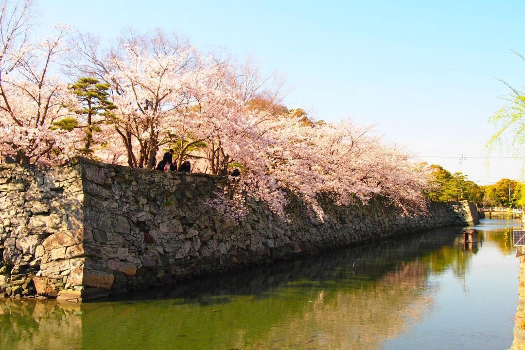 Photo of Others in Tokushima