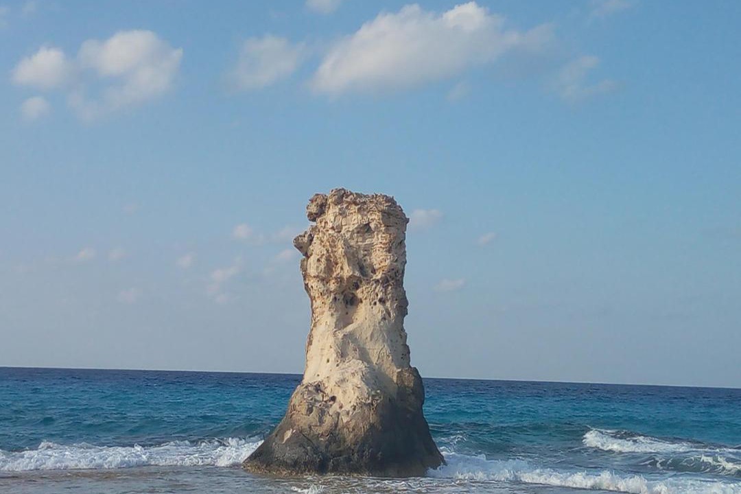 Photo of Others in Marsa Matruh