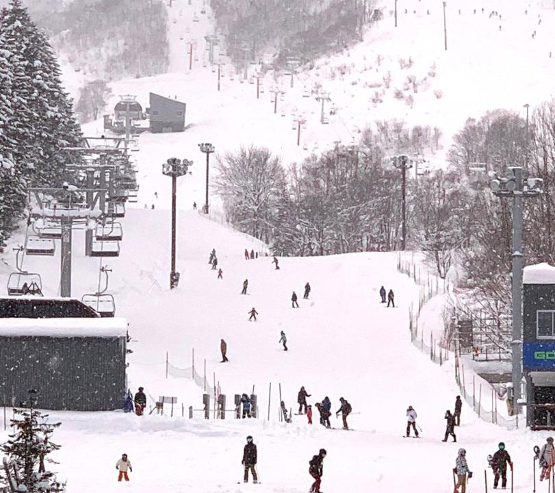 Photo of Others in Hirafu