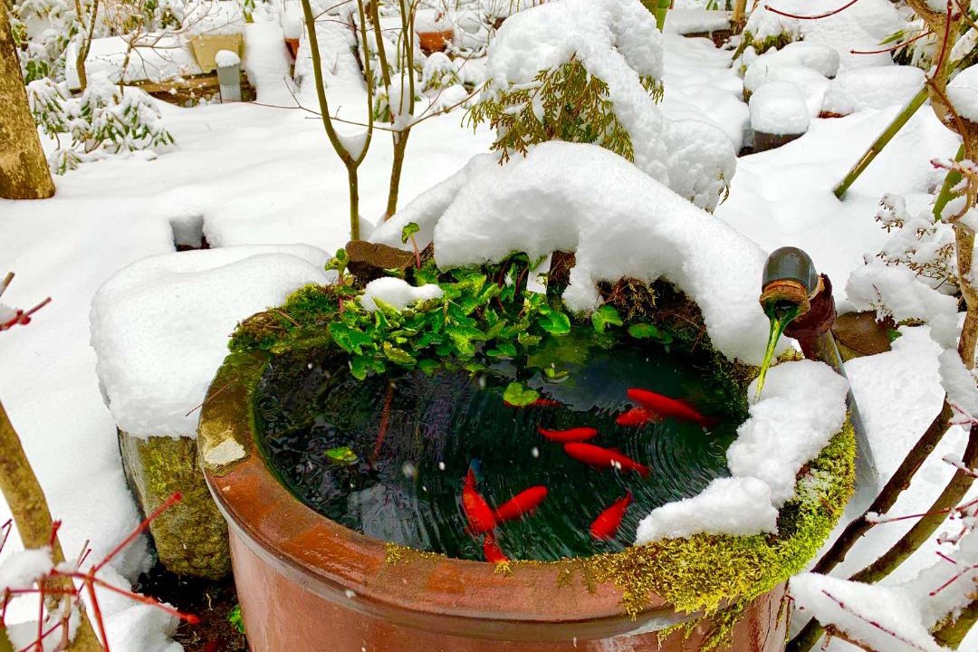 Photo of Others in Kusatsu Onsen