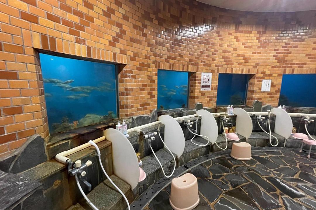 Photo of Bathroom in Hirado