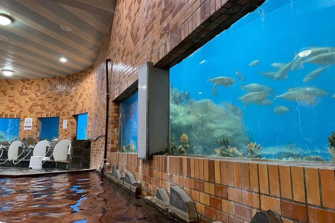 Photo of Bathroom in Hirado