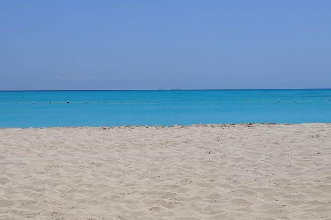 Photo of Others in Sidi Abd El-Rahman
