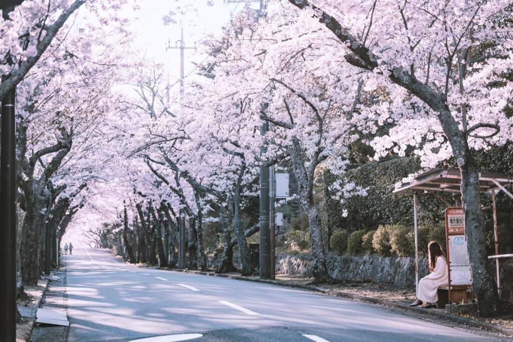 Photo of Others in Yawatano