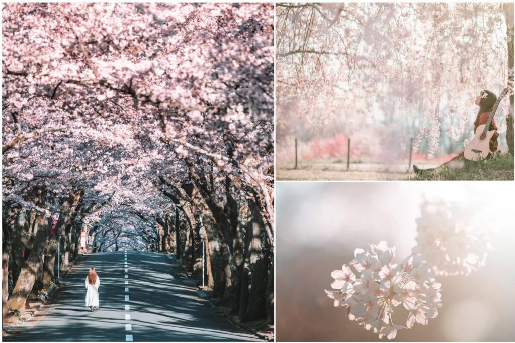 Photo of Others in Yawatano