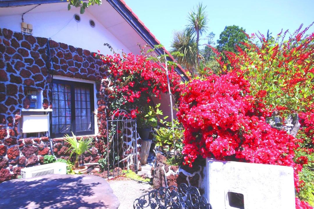 Photo of Others in Futo