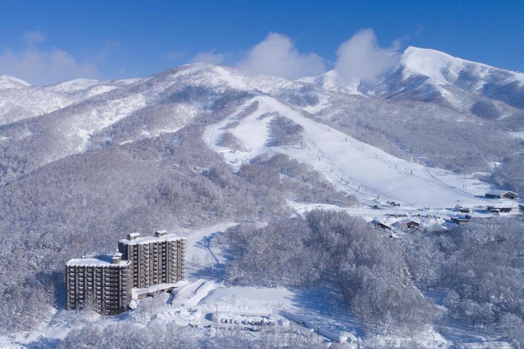Photo of Others in Niseko