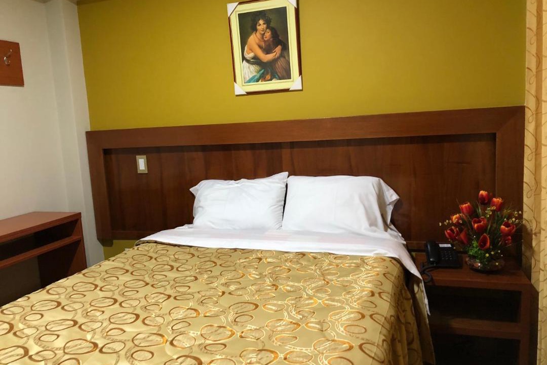 Photo of Bedroom in Tacna