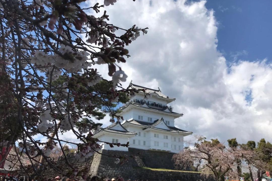 Photo of Others in Odawara