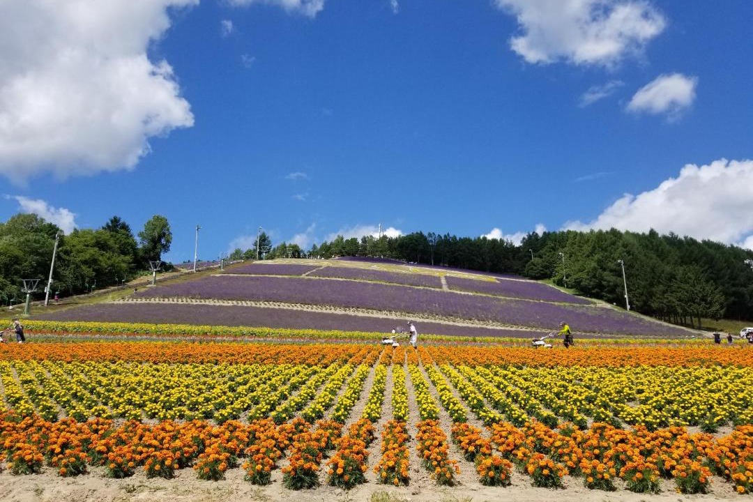 Photo of Others in Furano