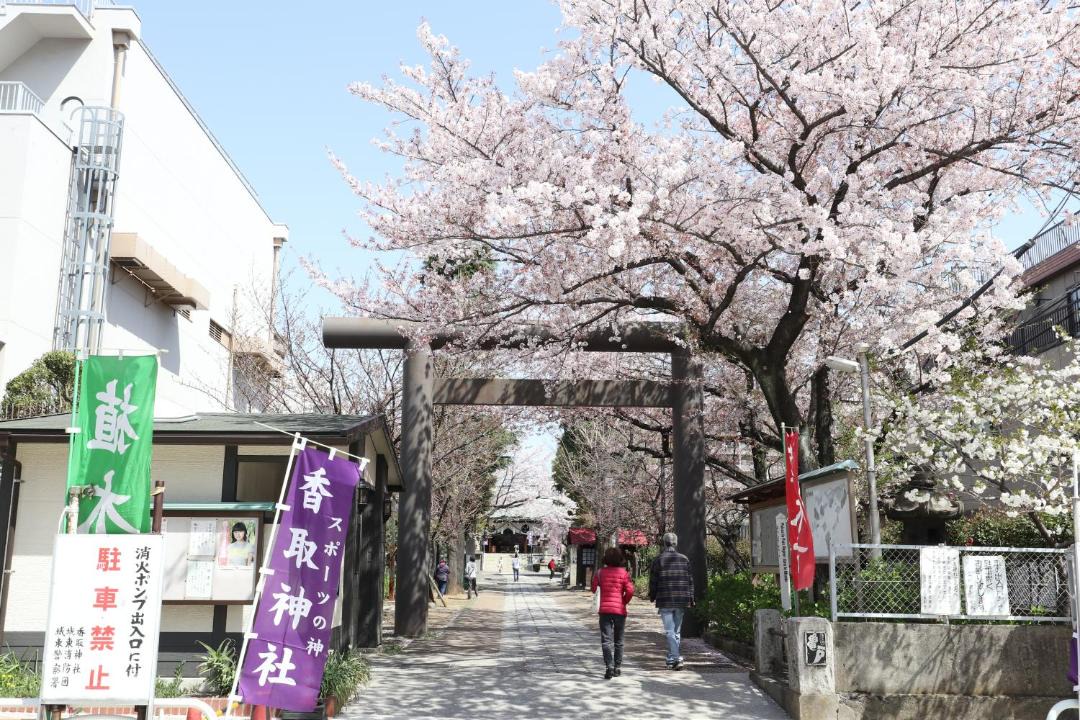 Photo of Others in Kameido