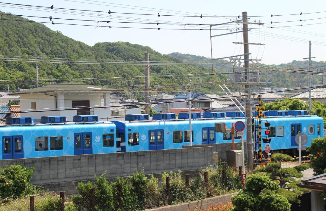 Photo of Others in Wakayama