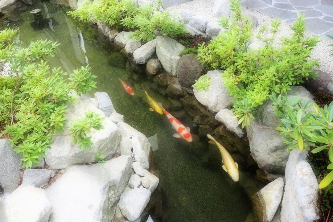 Photo of Others in Yuzawa-machi
