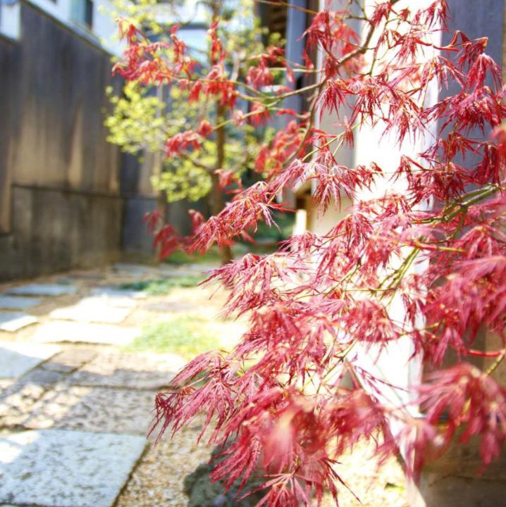 Photo of Others in Yamanouchi