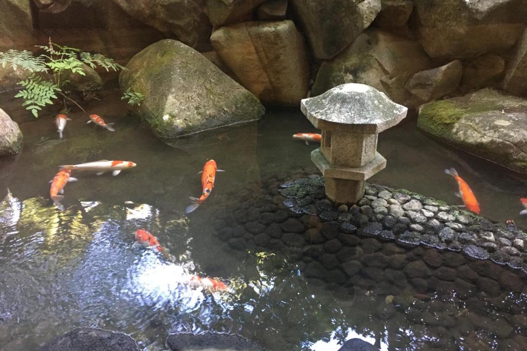 Photo of Others in Itsukushima