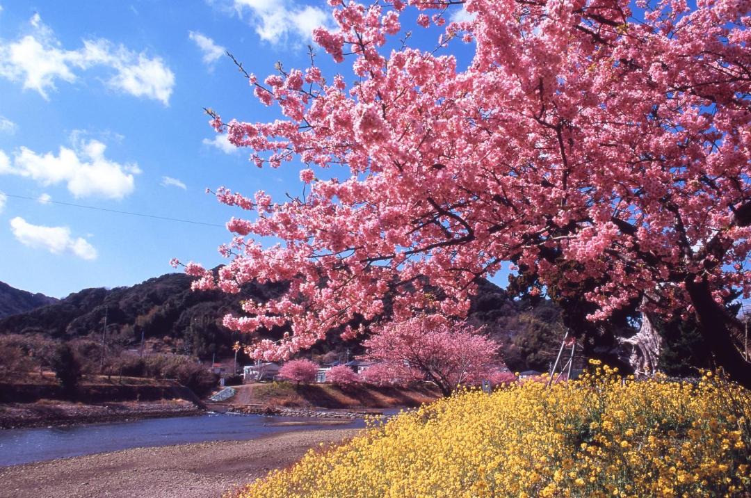 Photo of Others in Kakisaki