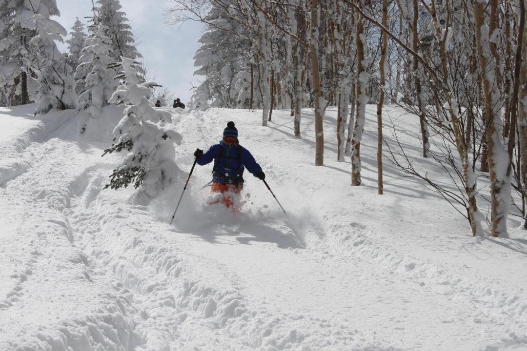 Photo of Others in Shiga Highlands
