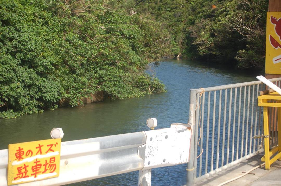 Photo of Others in Higashi