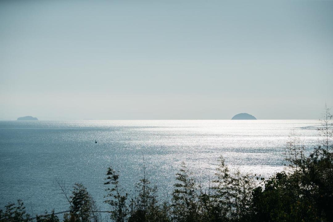 Photo of Others in Ohama