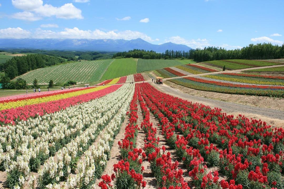 Photo of Others in Furano