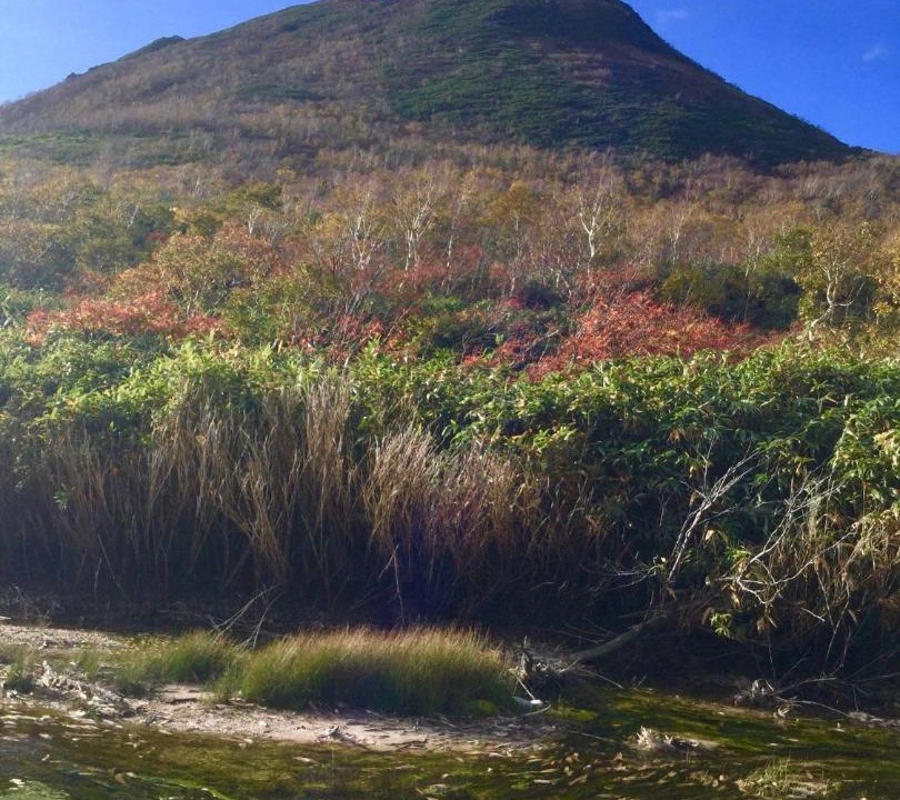 Photo of Outdoor in Toyako