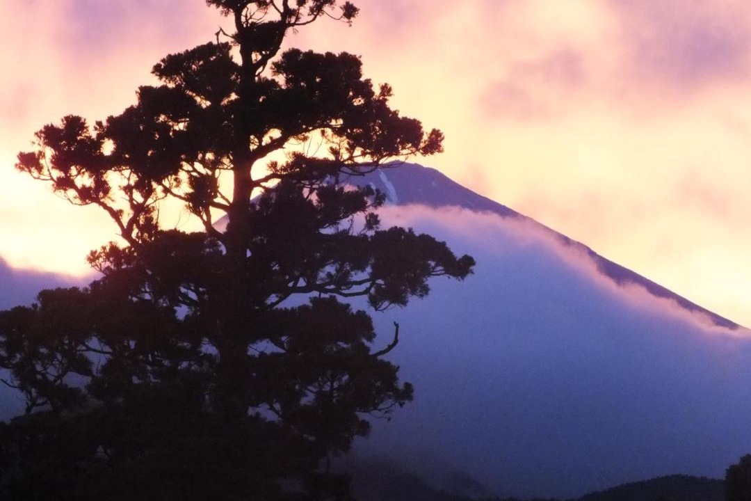 Photo of Others in Hakone